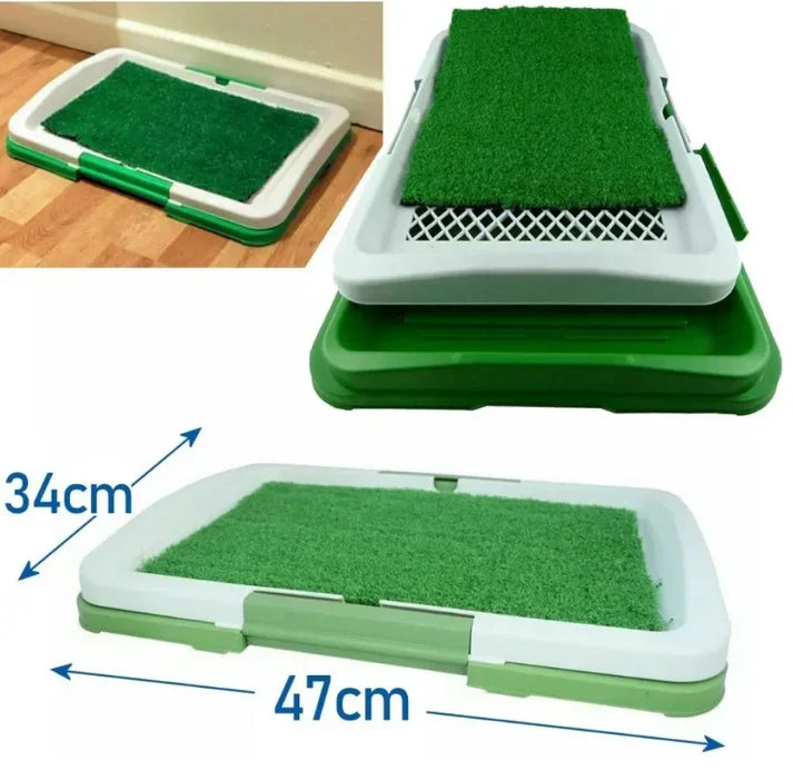 Pee Pad: Tapete sanitário para cães