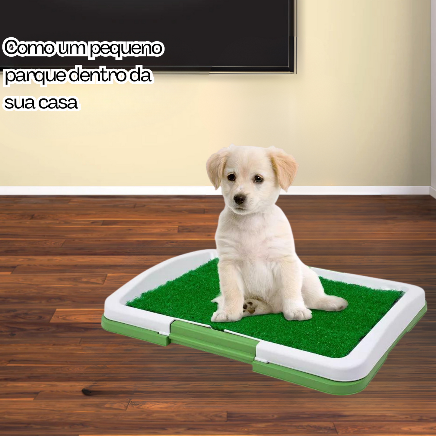 Pee Pad: Tapete sanitário para cães